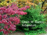 Barton Arboretum