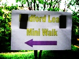 mini walk