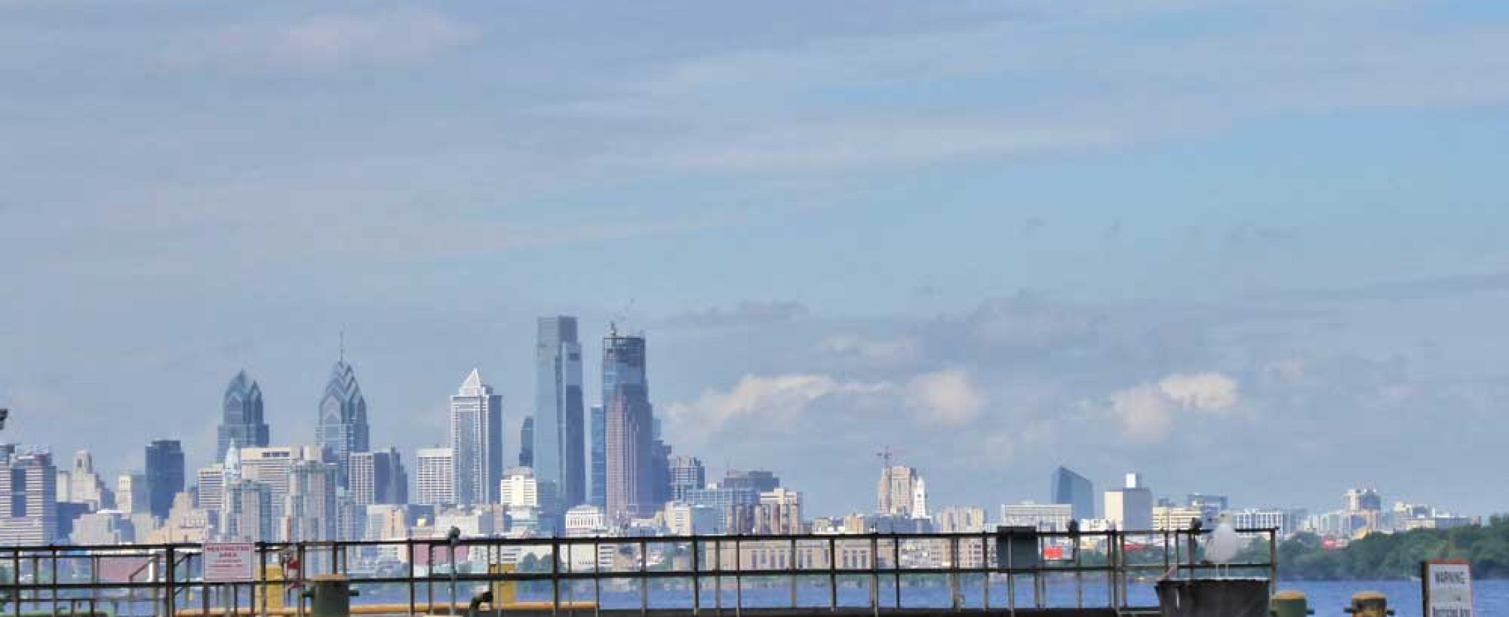 Ring-billed gull, Philadelphia skyline