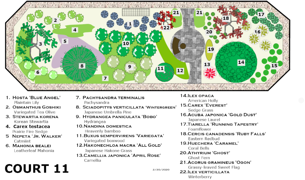 Court 11 Map