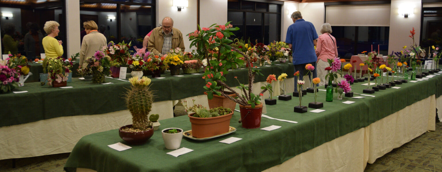 Visitors to the Flower Show