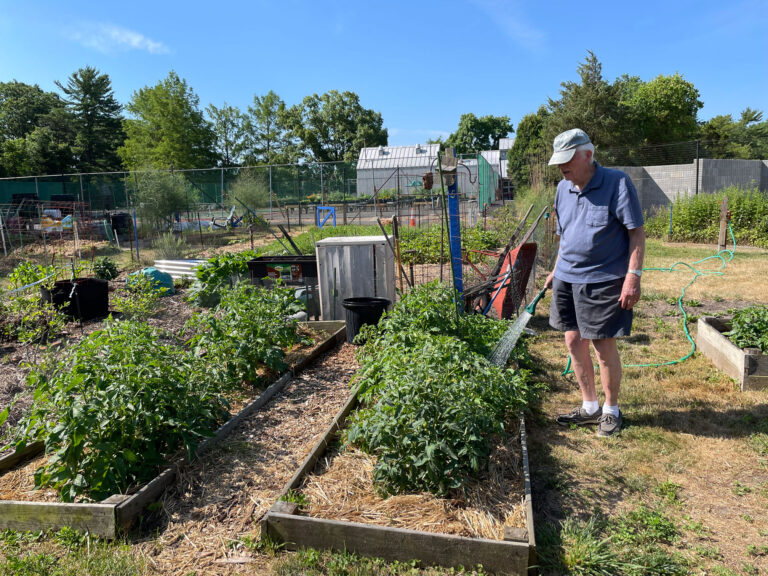 Earl Evens watering his plot at the Farm