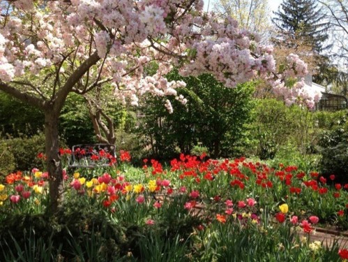 The Mt. Holly Garden I Left Behind, April 2013 The Mt. Holly Garden I Left Behind, April 2013, Anne Moore