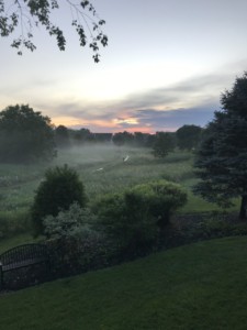 Sunset Across the Meadow on our First Evening at Lumberton Sunset Across the Meadow on our First Evening at Lumberton, Gretchen DeCou