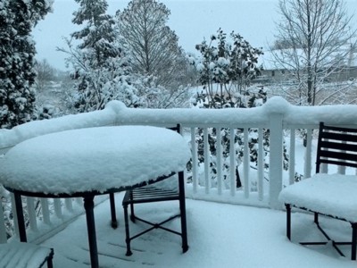 Winter Meadow from Deck Winter Meadow from Deck, John Cosgrove