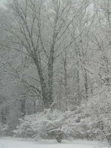 When Will it Stop Snowing? Lumberton Campus When Will it Stop Snowing? Lumberton Campus, Mike Holloway